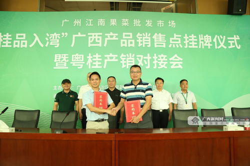 深化合作譜新篇 粵桂消費(fèi)協(xié)作再升級，“桂品入灣”助推區(qū)域發(fā)展